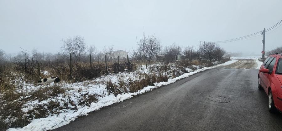 Teren Construcții intravilan de 2300 mp, în Vânători