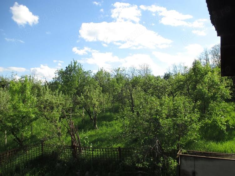 Gospodarie autentica in Berevoe?ti (sat.Ungureni) Campulung! - 6