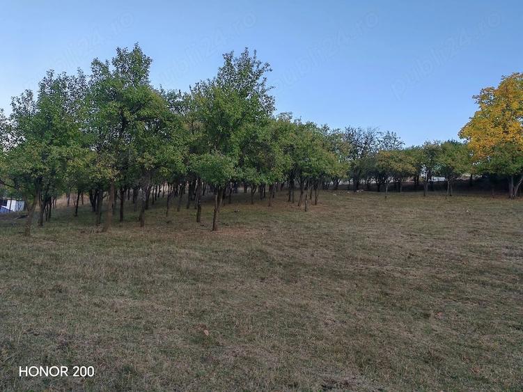 Teren de 7635 mp, în Suceagu