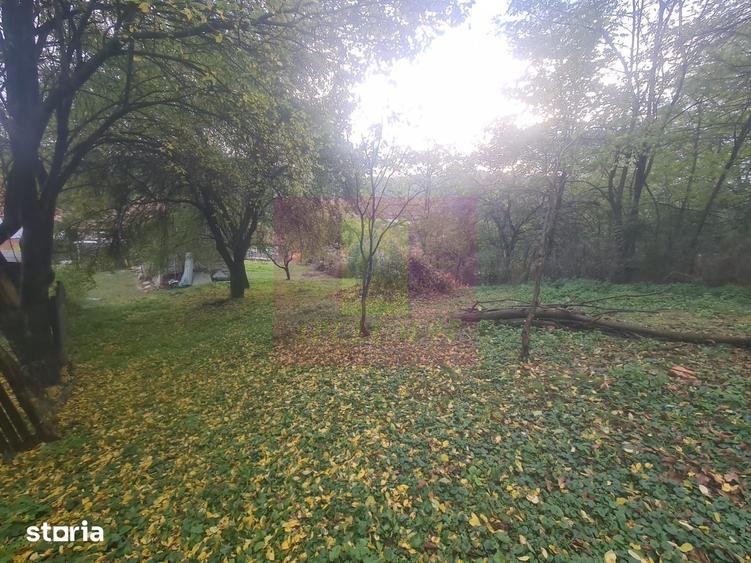Casă cu 3 camere cu Teren 3410 Mp în Aluniș