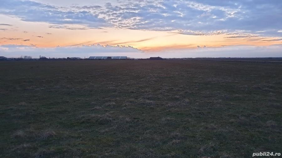 Teren de 25300 mp, în Lazuri