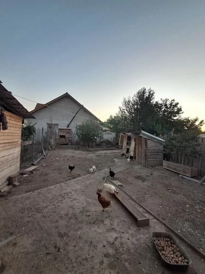 Casă cu 2 camere cu Teren 462 Mp în Olari
