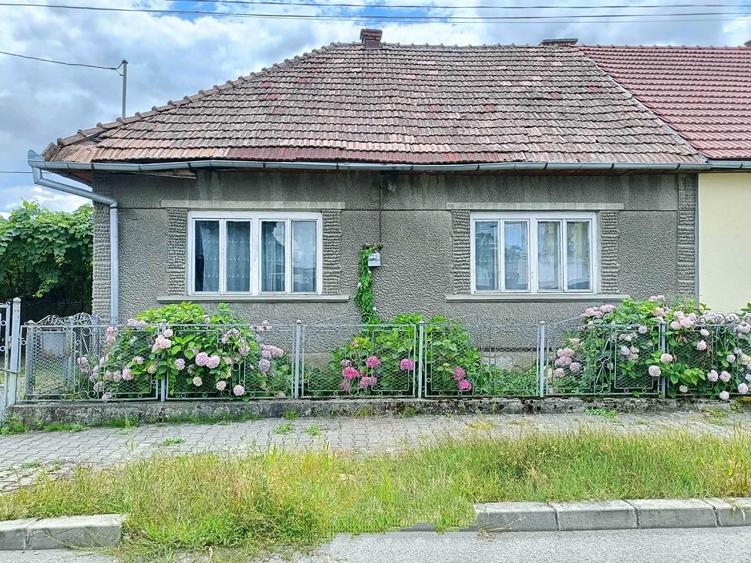 Casă cu 3 camere în Nord