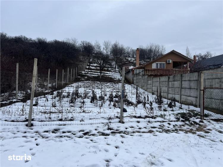 RECO teren intravilan Oradea - 4