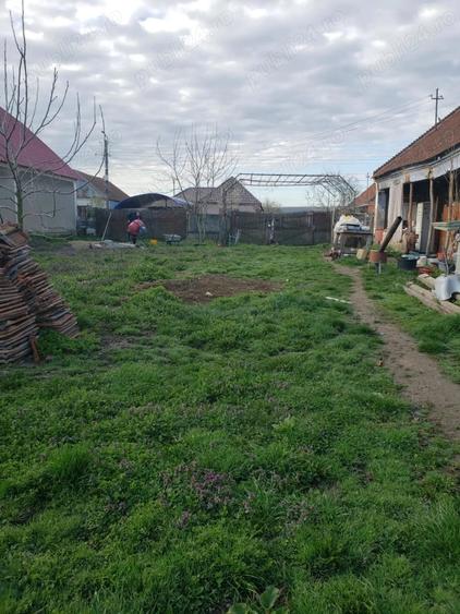 Casă cu 2 camere cu Teren 4200 Mp în Bogei