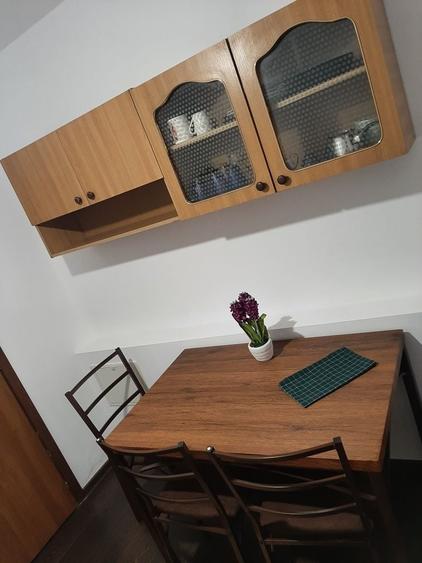 Inchiriez apartament 2 camere Rovine - 1