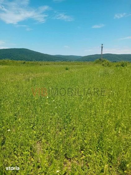 Oportunitate investi?ie agricola | 750 ha societate | Jude?ul Arad | - 2
