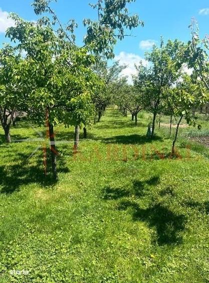 Casă cu 4 camere în Hărman