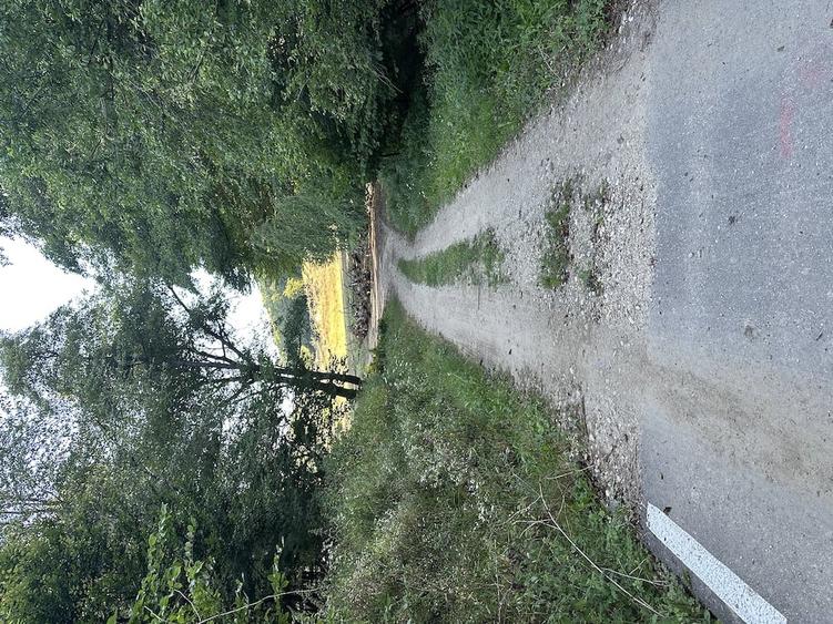 Teren de 4100 mp, în Drăganu