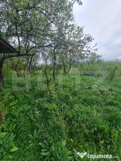 Casă cu 3 camere cu Teren 5520 Mp în Sânpaul