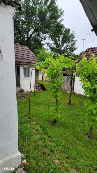 Casă cu 3 camere cu Teren 1900 Mp în Fârtățești