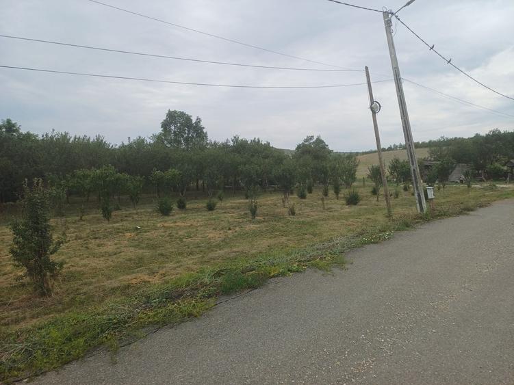 Teren de 1200 mp, în Borșa