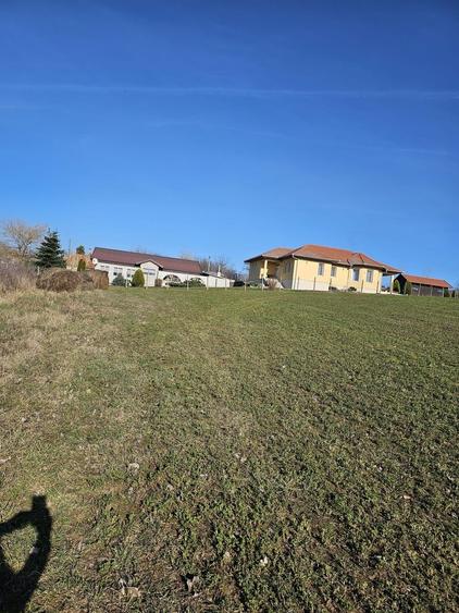 Teren agricol intravilan de 1500 mp, în Cetariu