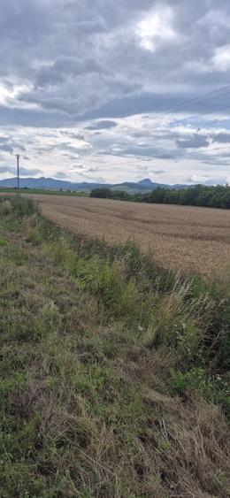 Teren de 1700 mp, în Galda de Jos