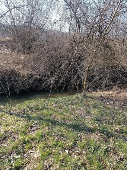 Vand teren intravilan comuna Bor?a, Cluj - 2