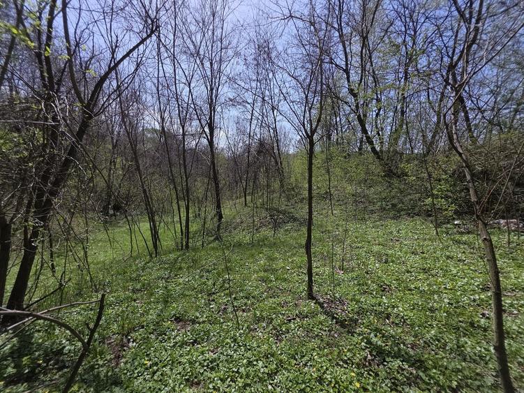 Teren agricol intravilan de 2070 mp, în Brebu
