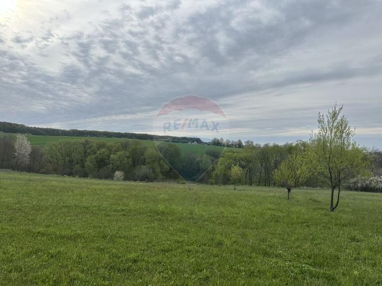 Teren Construcții intravilan de 3000 mp, în Oșlobeni