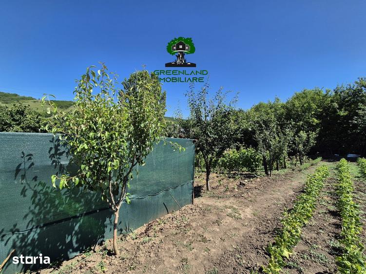 Casă cu 4 camere cu Teren 3024 Mp în Popricani
