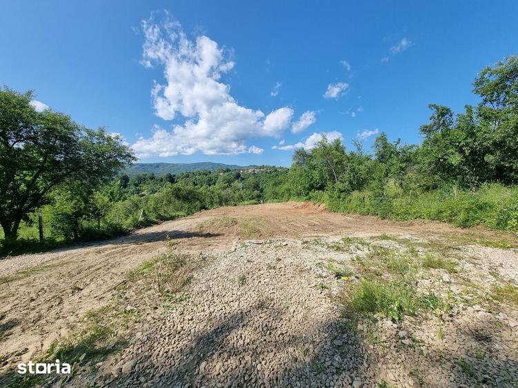 Teren de 1600 mp, în Pucheni
