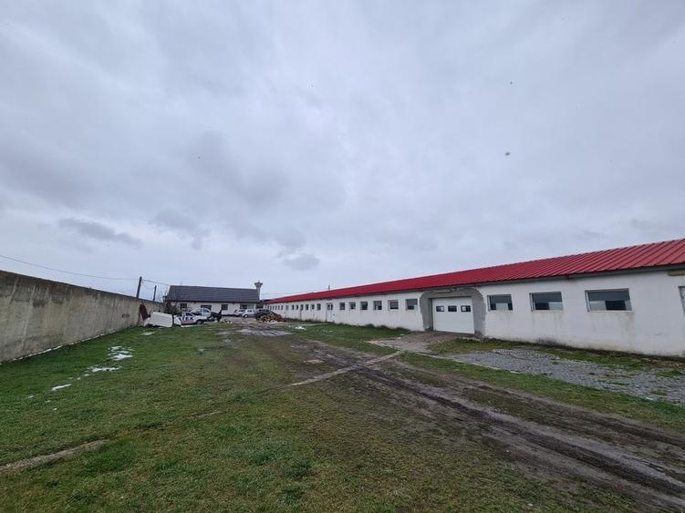 Spațiu industrial, de 781 mp, în Prejmer