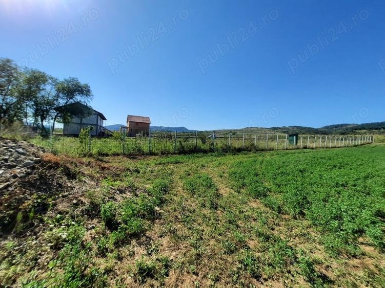 Teren de 1000 mp, în Berzasca