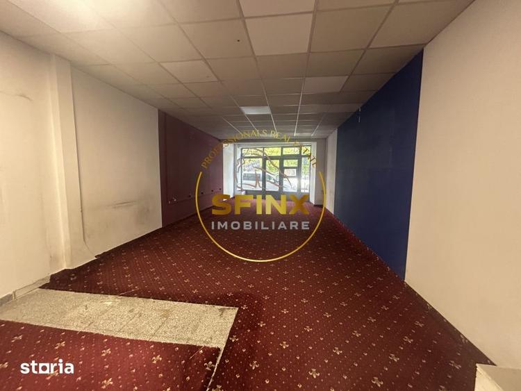 Sp comercial | Teiul Doamnei | 51mp | Disponibil Imediat - 1
