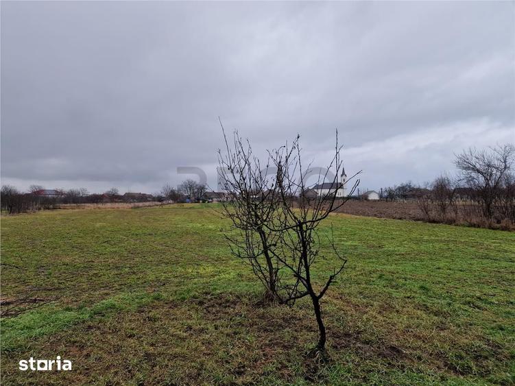 Casă cu 4 camere cu Teren 4600 Mp în Gepiu