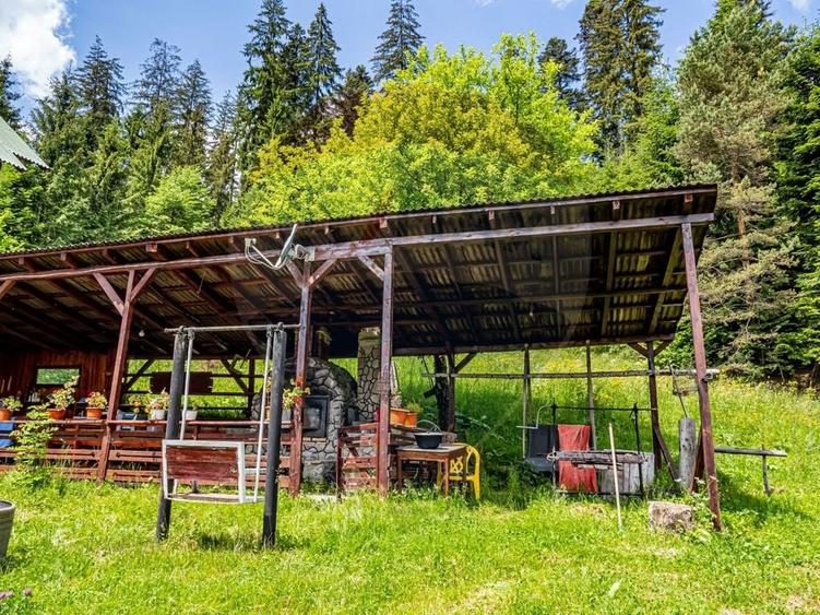 Casă individuală cu 20 camere cu Teren 10330 Mp în Central