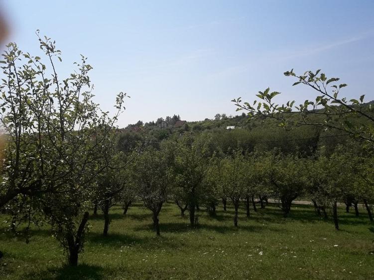 Teren Construcții extravilan de 8500 mp, în Calea Moldovei