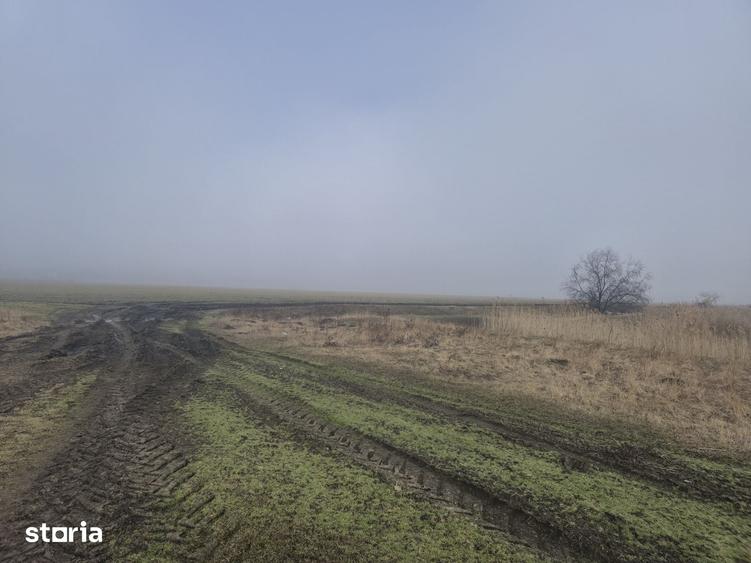 Teren 3.000 mp cu autoriza?ie hala Holboca, Ia?i | Rate - 6