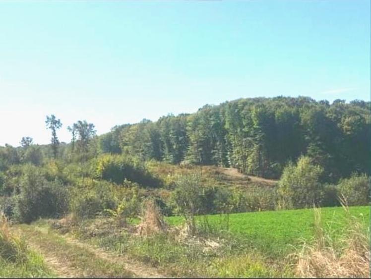 Teren Construcții intravilan de 900 mp, în Snagov