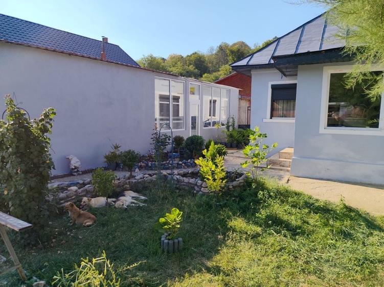 Casă cu 4 camere în Borăscu
