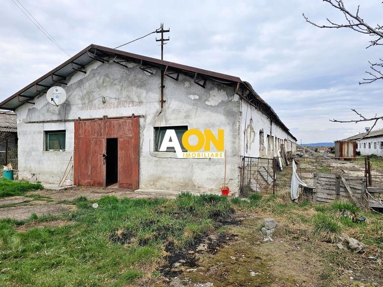 Spațiu industrial, de 1,400 mp, în Lunca Mureșului