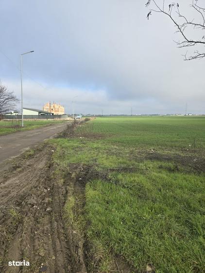 teren in Vidra Dealul Verde -Utilitati in apropiere - 4