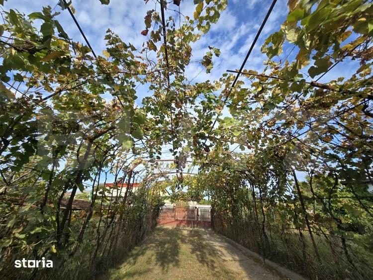 Casă cu 3 camere cu Teren 6800 Mp în Ulmi