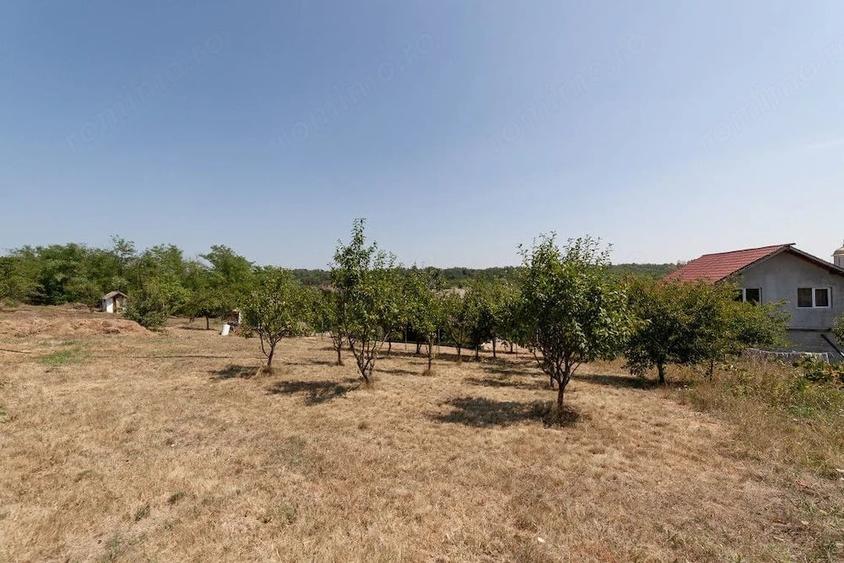 Casă cu Teren 1175 Mp în Central