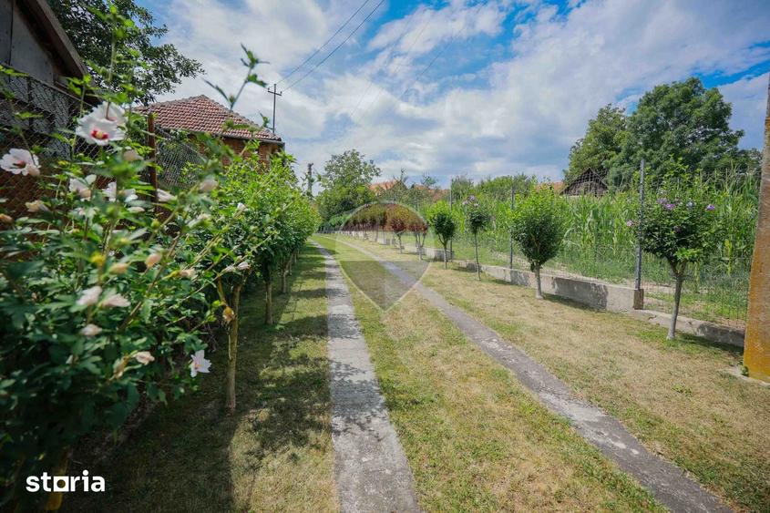 Casă cu 3 camere cu Teren 8788 Mp în Forosig