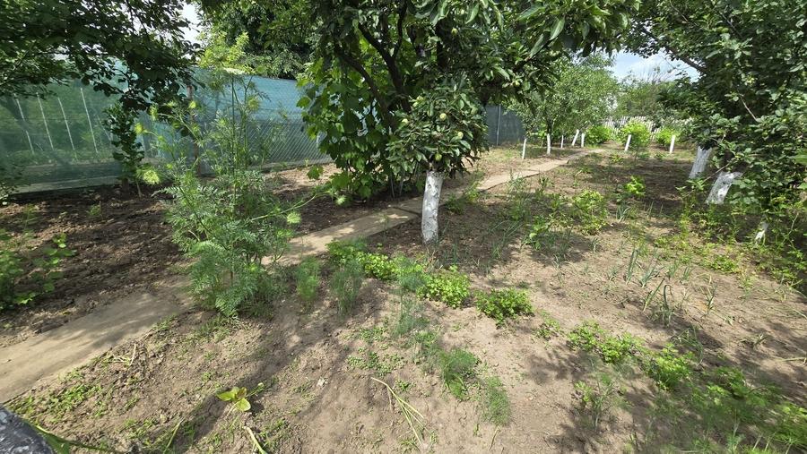Casă cu 3 camere decomandat în Costi