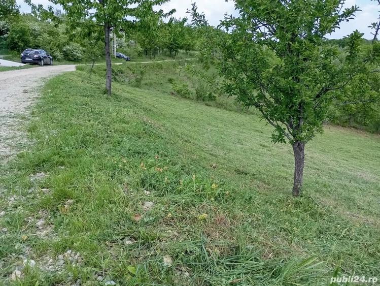 Teren de 1371 mp, în Cotmenița