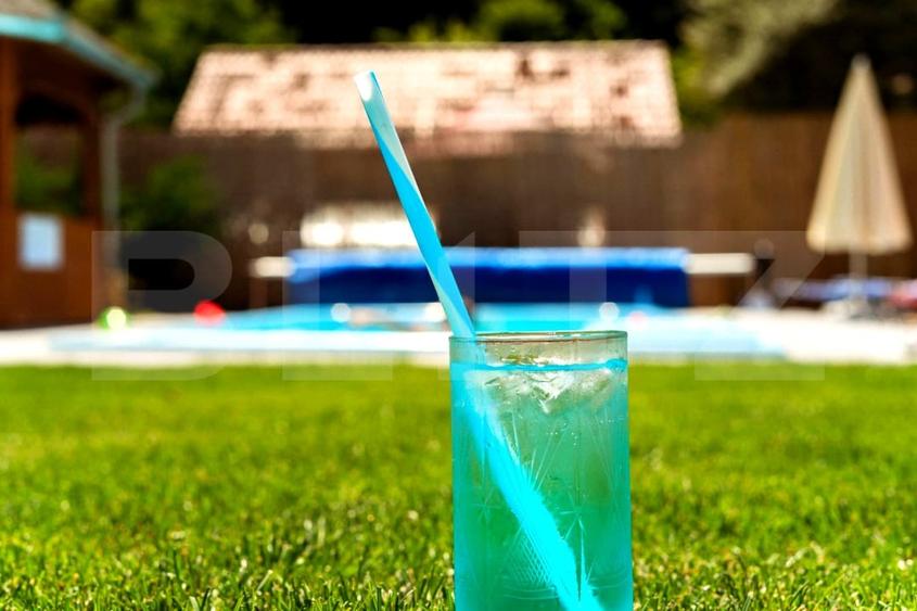 Casă individuală cu 6 camere cu Piscina în Valea Mănăstirii