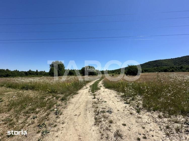 Teren extravilan 1900 mp cu utilitati in apropiere pe Valea Sebesului