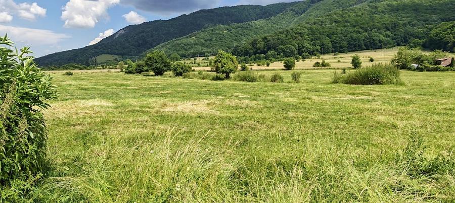 Teren intravilan - padure de agrement - in Brasov. - 1