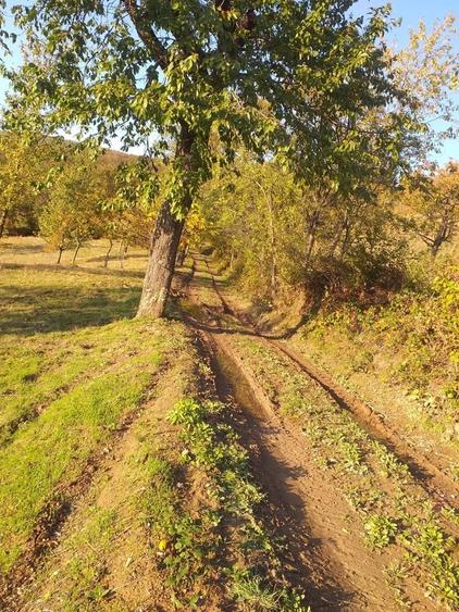 Teren de 2000 mp, în Brusturi