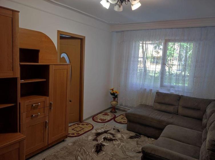 Apartament cu 2 camere nedecomandat, mobilat în Alexandru cel Bun