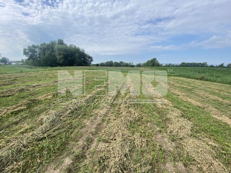 Teren agricol extravilan de 2300 mp, în Satu Mare