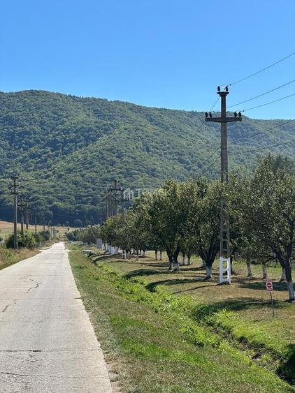 Teren Construcții intravilan de 14000 mp, în Bartolomeu