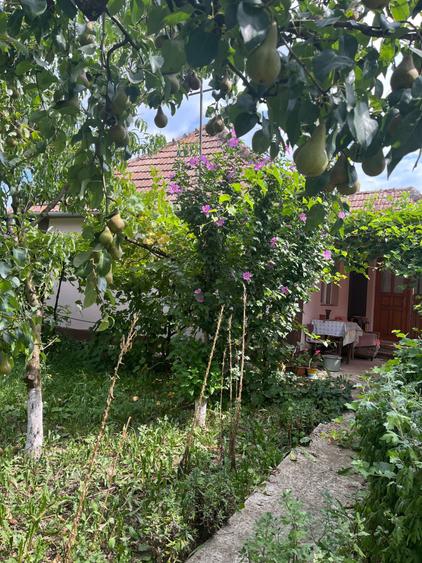 Casă cu 3 camere în Sucutard