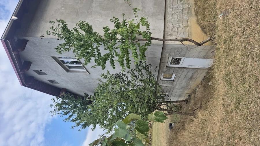 Casă cu Teren 4672 Mp în Central