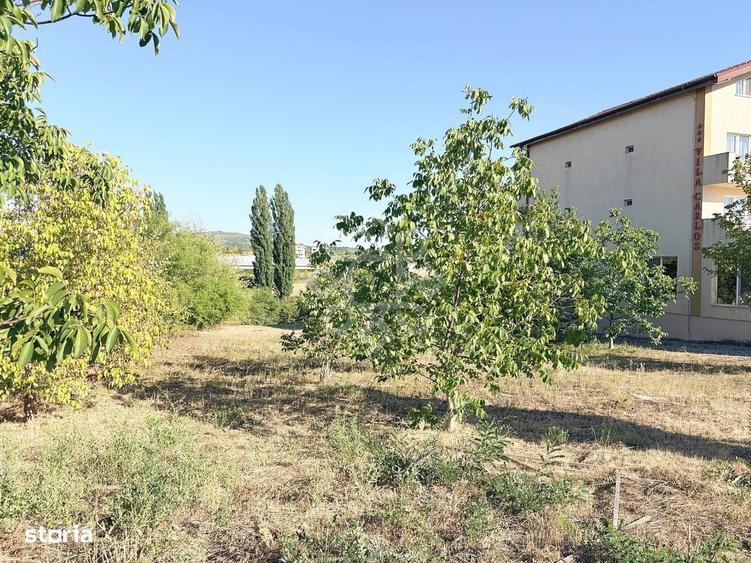 Teren intravilan 1803 mp de vanzare la intrare in Baile Felix - 4