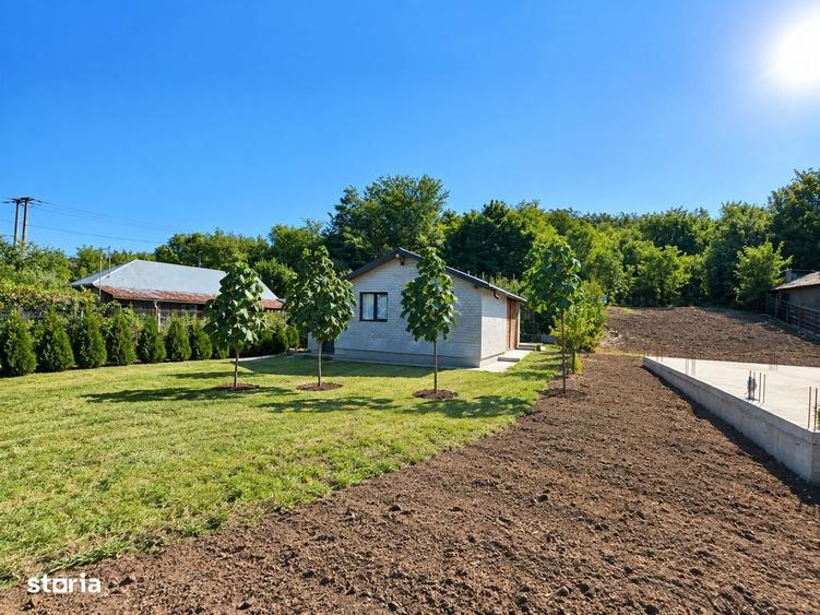 Casă cu 2 camere în Odaia Manolache